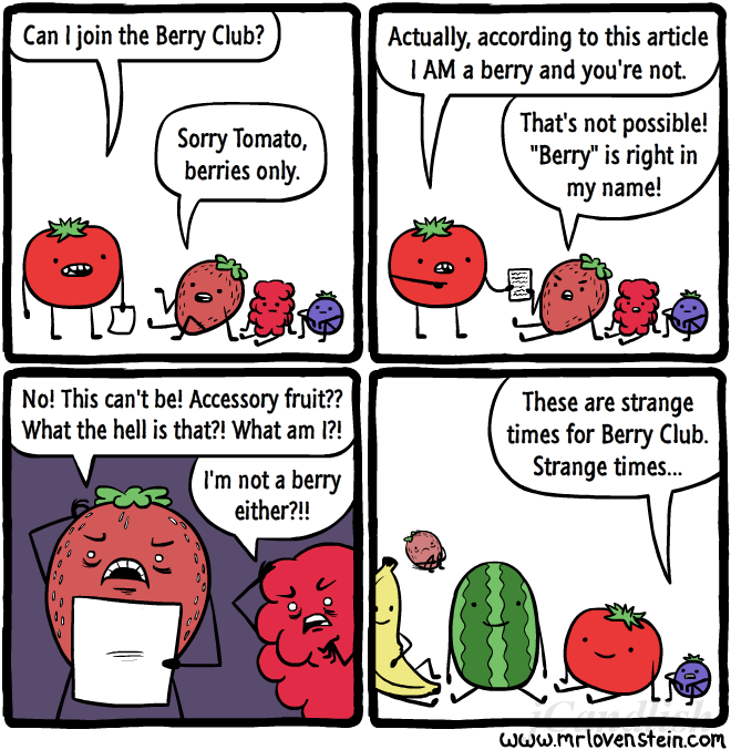 berry-club