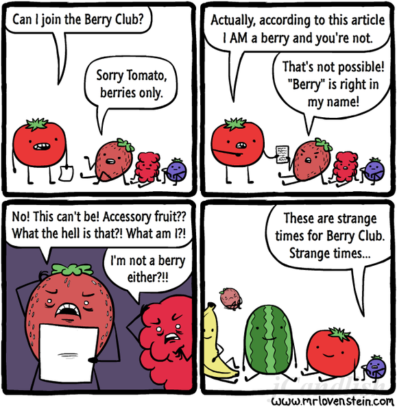 berry-club.png