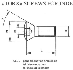 torx-insert-screw
